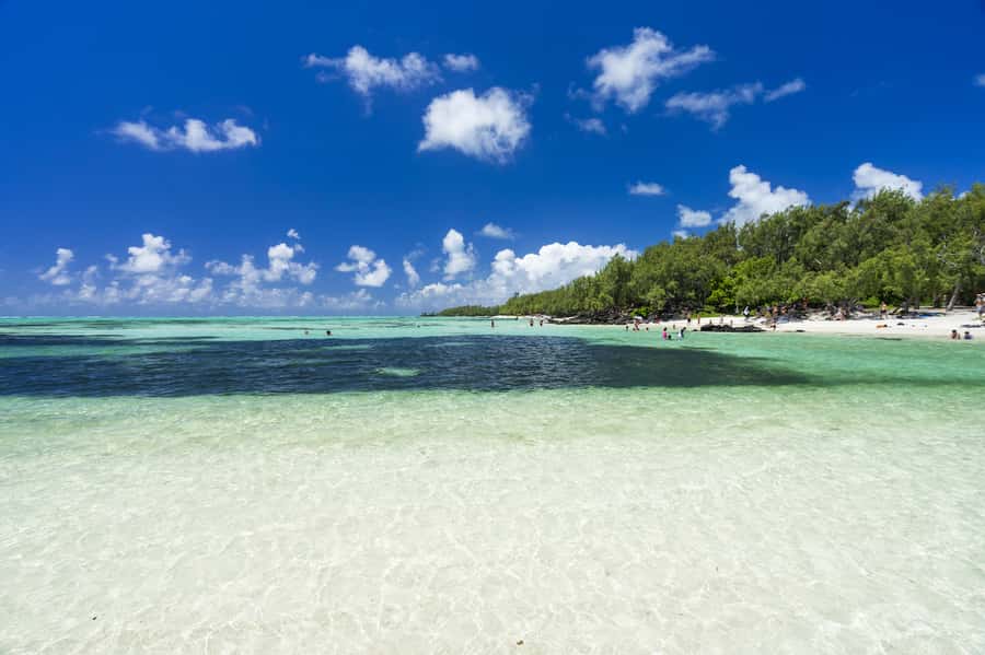 Ile aux Cerfs Speedboat Trip & Transport: Private or Shared - Grand River South East Waterfall Pass and Wildlife Chances