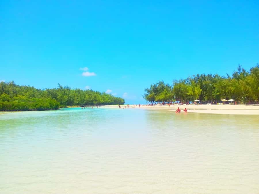 Ile aux Cerfs Speedboat Trip & Transport: Private or Shared - Day-Of Tips That Improve Your Odds of a Great Experience