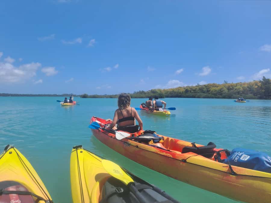 Ile d Ambre Kayaking - Kayaking Ile d’Ambre: Why This Mangrove Area Works So Well