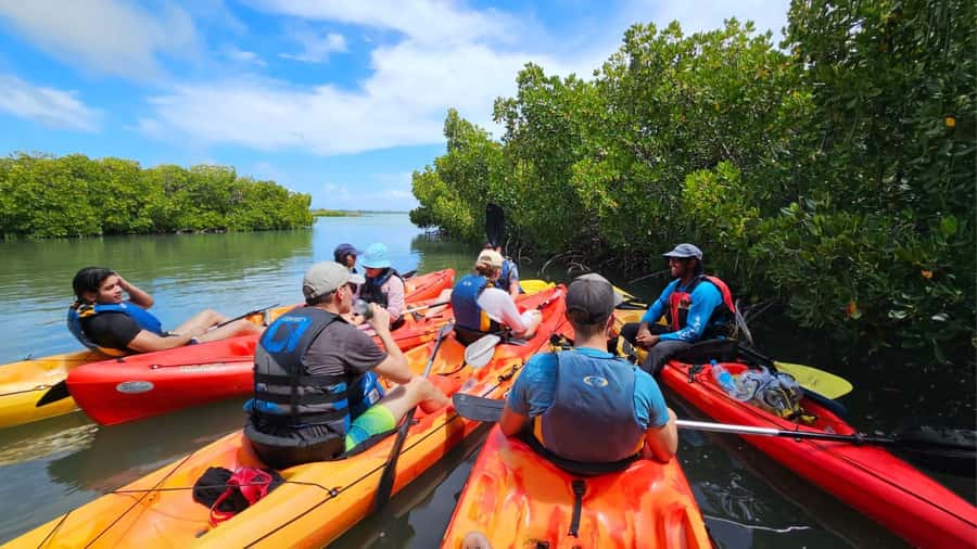 Ile d Ambre Kayaking - The Swim or Snorkel Stop: Gear You Actually Use