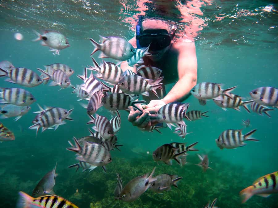 Ilot Gabriel: Catamaran Cruise & BBQ Lunch - The two-hour cruise: sailing out through shifting sea colors