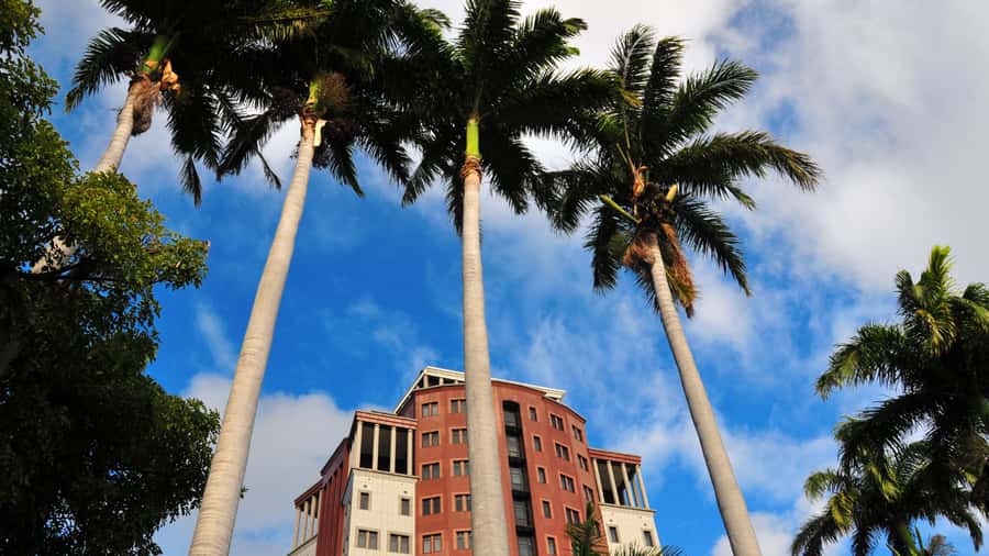 Insta-Worthy City Tour: Unveil Picture-Perfect Spots - Central Market stop: where the city’s energy shows in close-up details