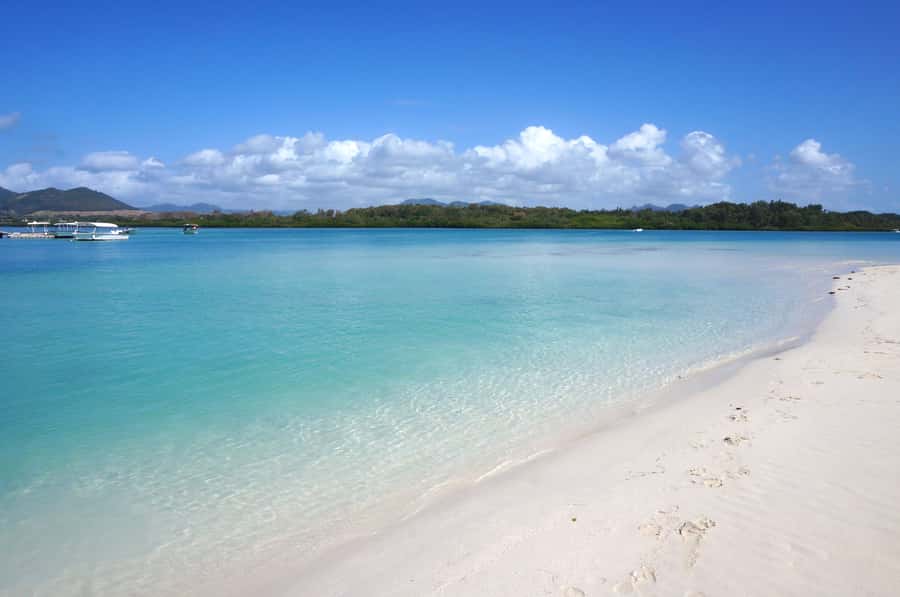 La Preneuse: Dolphin Swimming and Snorkeling Speedboat Trip - Early Start at La Preneuse Beach (7:30) for the Best Dolphin Timing
