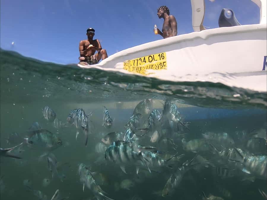 La Preneuse: Dolphin Watching and Snorkeling Speedboat Tour - Getting Oriented at La Tour Martello on La Preneuse Public Beach
