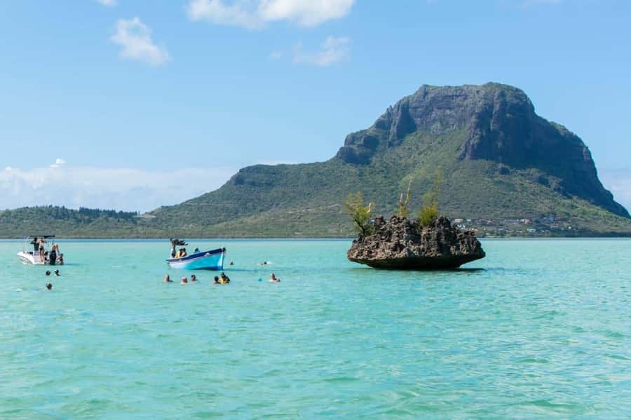 La Preneuse: Dolphin Watching and Snorkeling Speedboat Tour - Lagoon Snorkeling: The Part Where the Water Turns Into a Classroom