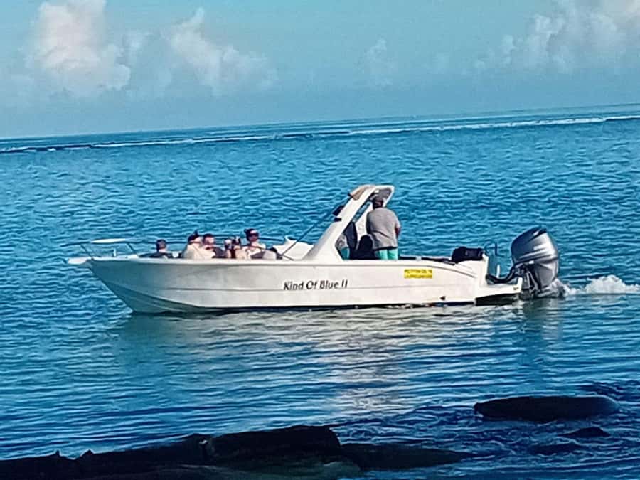 La Preneuse: Dolphin Watching and Snorkeling Speedboat Tour - What You Pay, and Why $58 Can Still Be Good Value