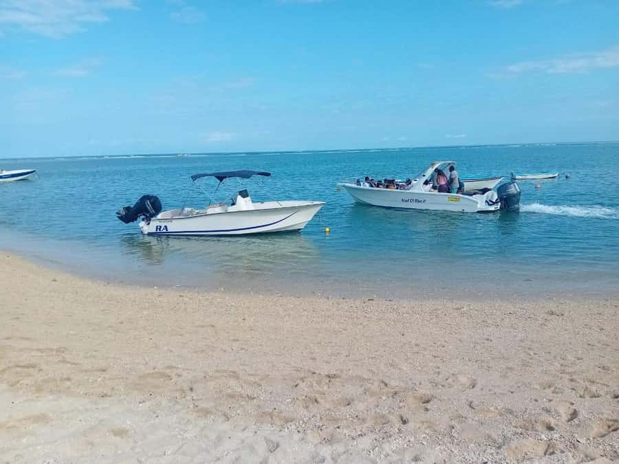 La Preneuse: Dolphin Watching and Snorkeling Speedboat Tour - Dolphin Encounters Are Wild, So Choose the Right Mindset