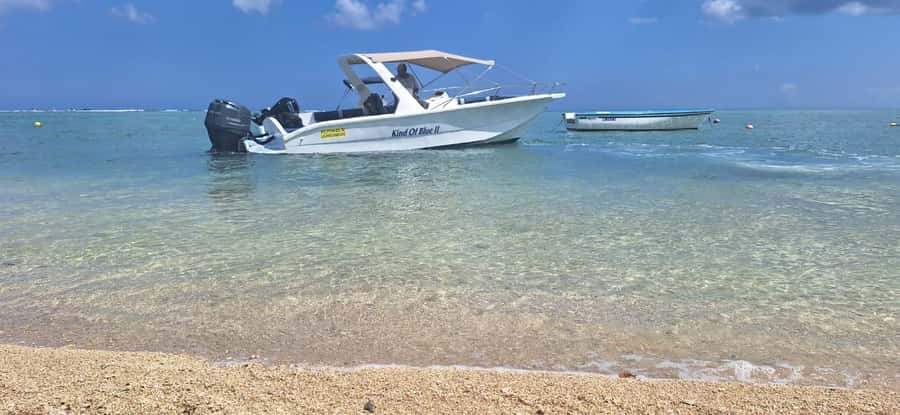 La Preneuse: Dolphin Watching and Snorkeling Speedboat Tour - Should You Book La Preneuse Dolphin Watching and Snorkeling?