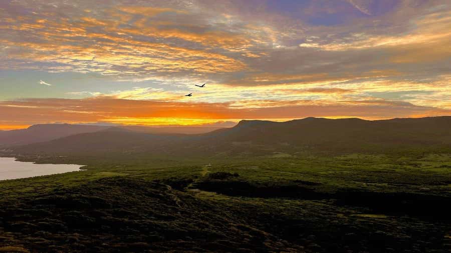 Le Morne Brabant Sunrise Hike - Getting to the trail: meeting point, short drive, and real start time