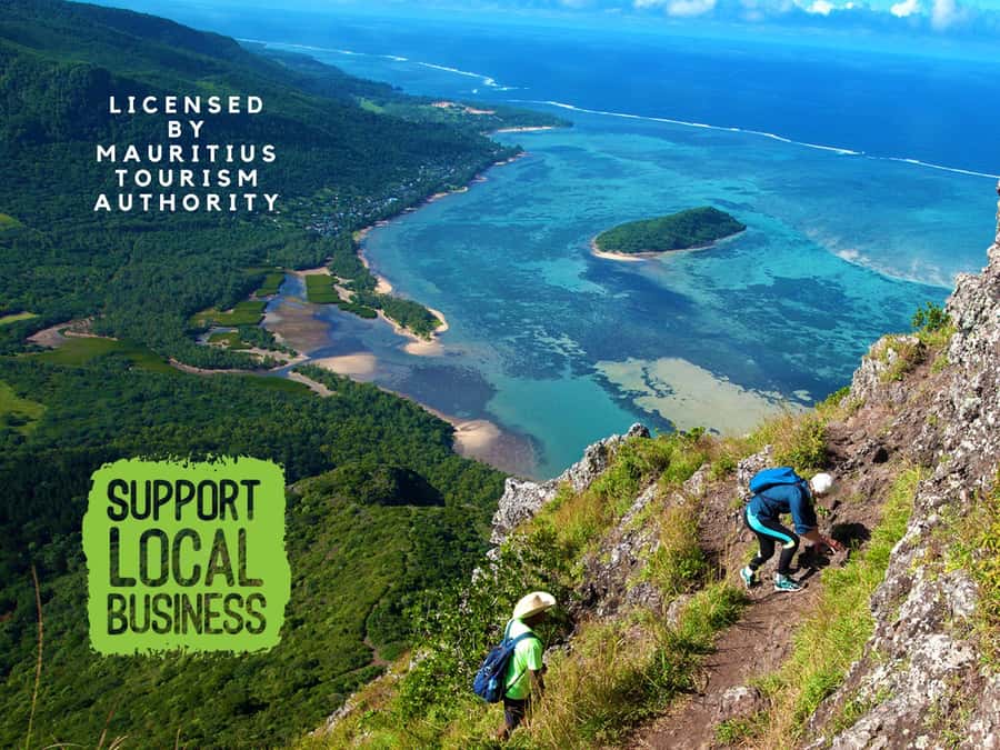 Le Morne Brabant: UNESCO Mountain Hike & Local Guides - Stories you actually remember: medicinal plants and Slave Route meaning