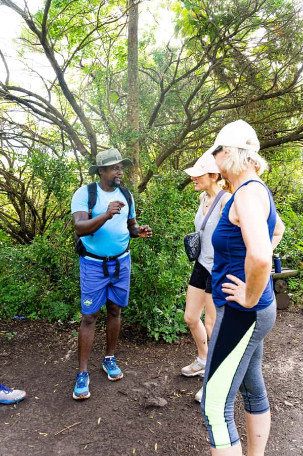Le Morne Brabant: UNESCO Mountain Hike & Local Guides - Who this hike suits, and who should skip it