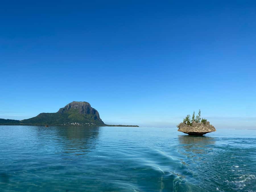 LE MORNE DOLPHINS SUNRISE TRIP - Price and Value: $435 Per Group Up to 4, Is It Worth It?