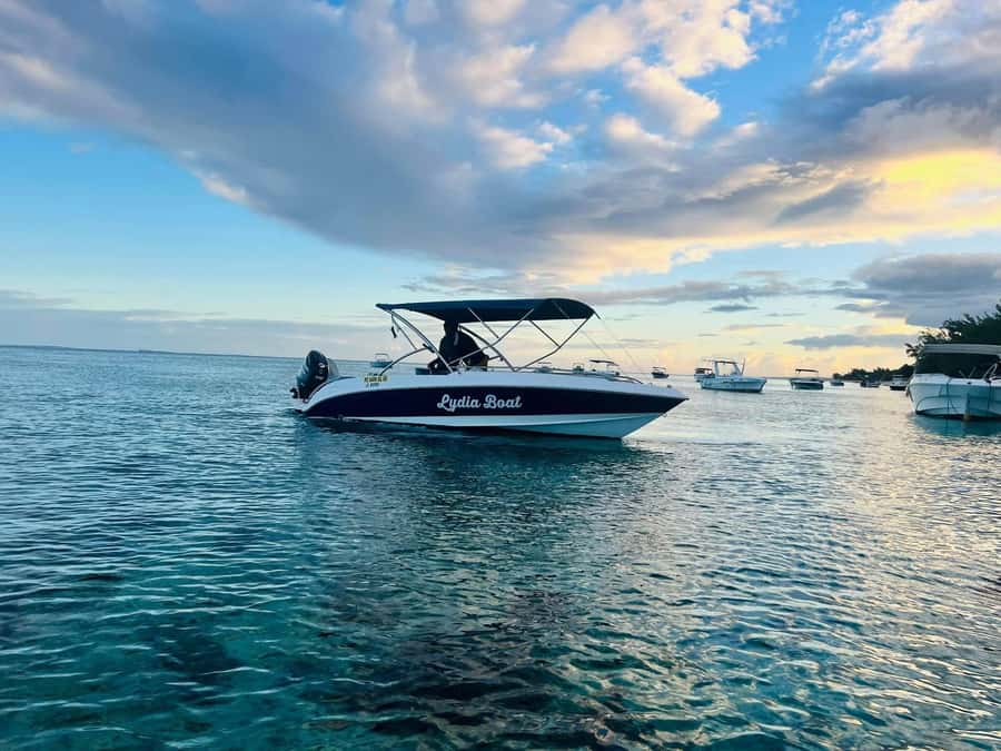 Le Morne: Private Boat Tour Dolphin-Watching & swimming - Meeting at Emba Filao, then heading out from the Le Morne beach