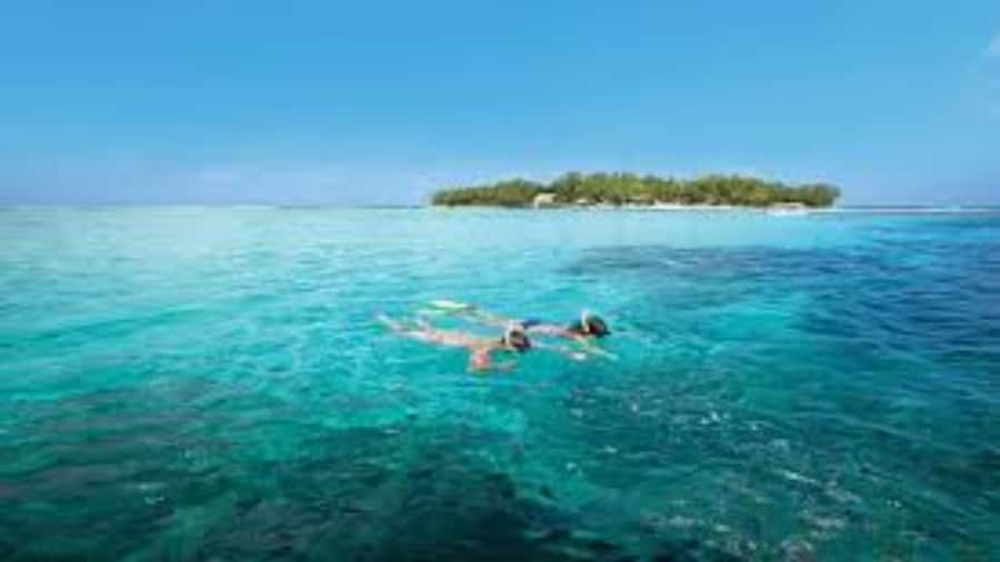 Mahebourg: L'île des Deux Cocos Island Boat Tour with Lunch - Key things to know before you go