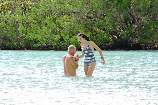 Marvelous Ile aux Cerf island: Speed Boat, Parasailing, Lunch & GRSE waterfall - Should you book this Ile aux Cerfs, speed boat, parasailing, and GRSE day?
