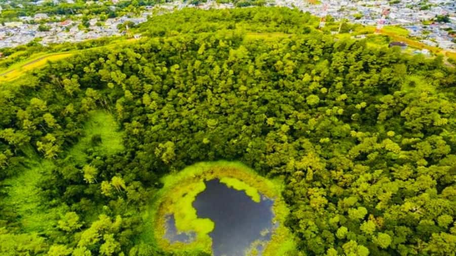 Mauritius: 3 Days Private Authentic Tour with hidden gems - The guide experience: when it really clicks, and when you should watch out