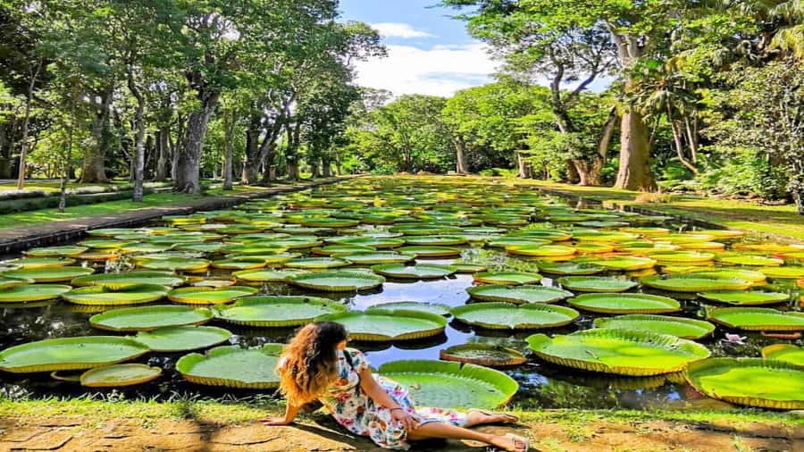 Mauritius: 3 Days Private Authentic Tour with hidden gems - What this tour is best for