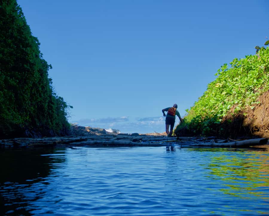 Mauritius: 3-Hour Hiking the Wild South Excursion - What you’ll really do on this 3-hour wild south hike