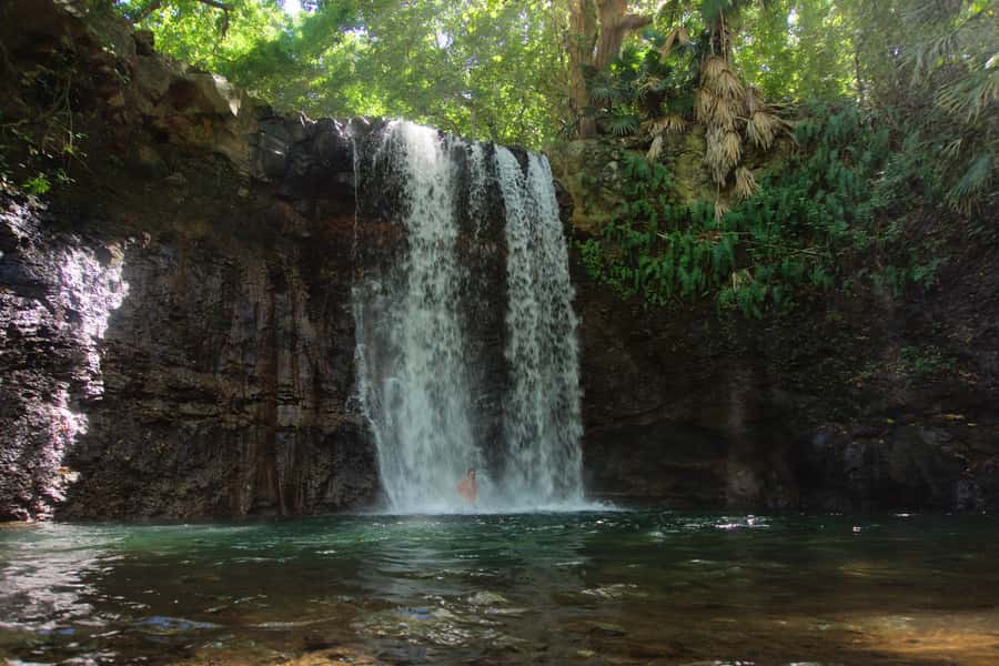 Mauritius: 3-Hour Hiking the Wild South Excursion - Key highlights that matter on the ground