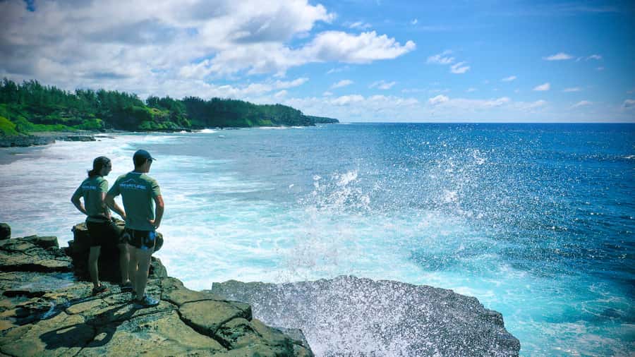 Mauritius: 3-Hour Hiking the Wild South Excursion - Waterfalls, rivers, and sea pools, where the trek turns into a break