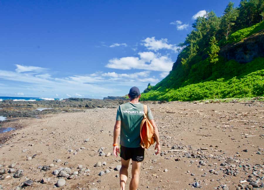 Mauritius: 3-Hour Hiking the Wild South Excursion - Who should book this hike, and who should skip it