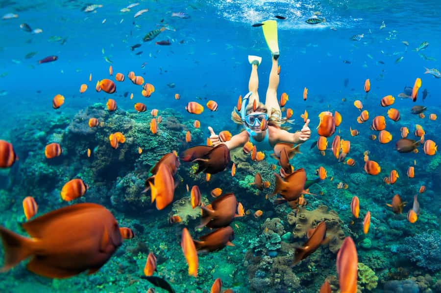 Mauritius: 5 East Coast Islands Tour with Snorkeling & Lunch - A speedboat circuit that works for a one-week trip