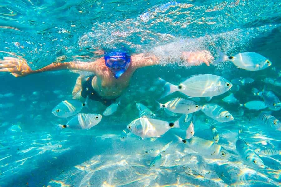 Mauritius: 5 East Coast Islands Tour with Snorkeling & Lunch - Ile aux Phares lighthouse and Ile de la Passe: colonial-era stories with teeth