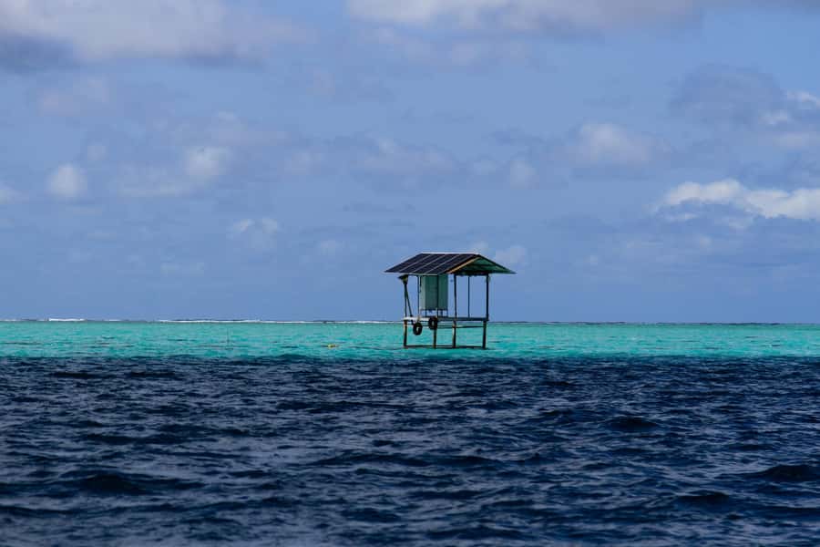 Mauritius 5 Islands Hopping Tours - PRIVATE BOAT - Ile aux Aigrettes photo stop and sightseeing: short, scenic, useful