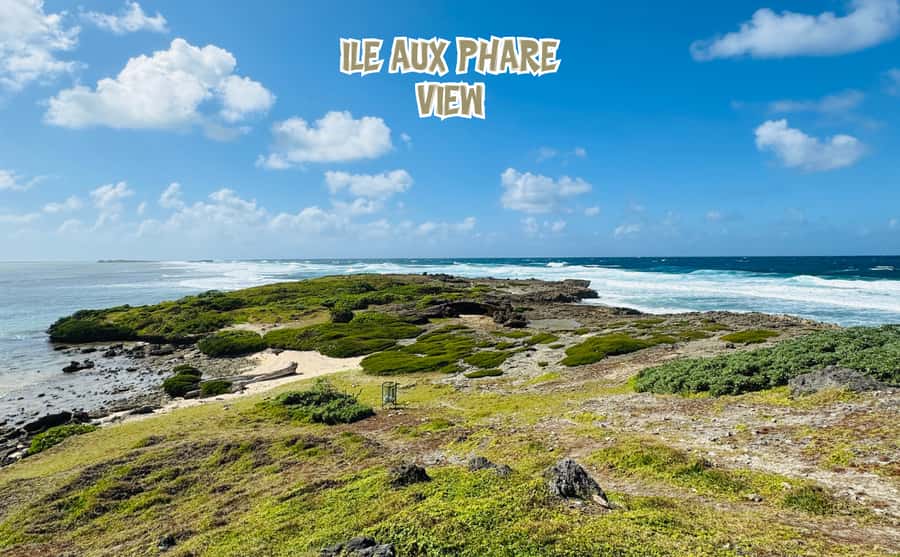 Mauritius: 5 Islands of the East Speedboat Tour with BBQ - Snorkeling near Île aux Aigrettes: what to expect at water level