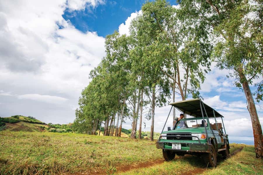 Mauritius: Bel Ombre Nature Reserve 4x4 Safari Adventure - Bel Ombre Nature Reserve: why this 4x4 feels wild in Mauritius