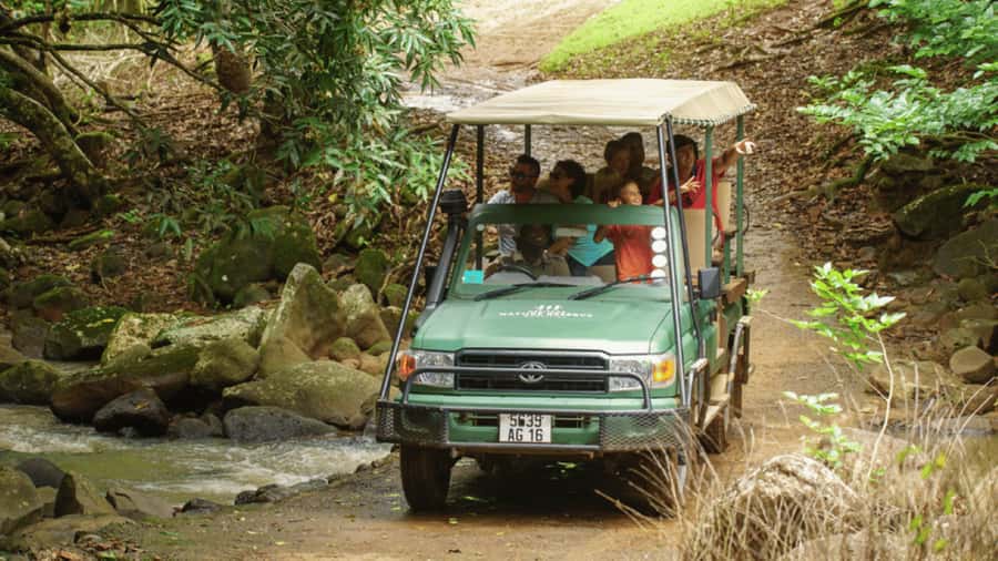 Mauritius: Bel Ombre Nature Reserve 4x4 Safari Adventure - Guided bird spotting in Mauritius: turning sightings into names
