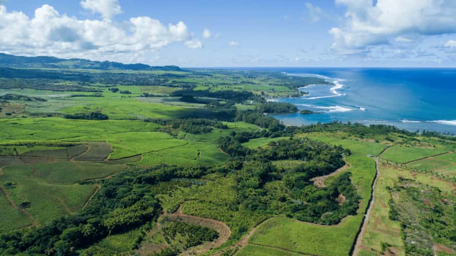 Mauritius: Bel Ombre Nature Reserve 4x4 Safari Adventure - Price and value: what $40 gets you in Mauritius nature time