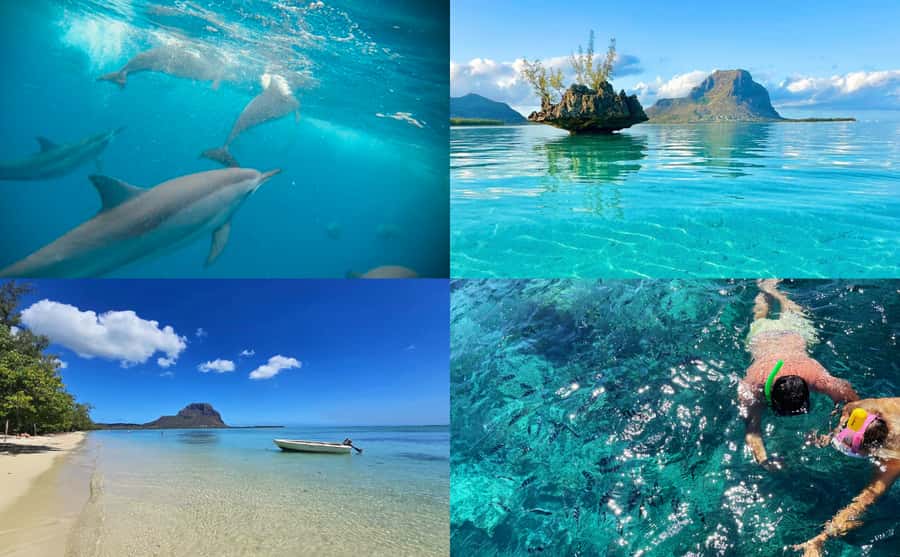 Mauritius: Benitier Island - Swim Dolphins - Speedboat & BBQ - Key highlights you will feel on the day