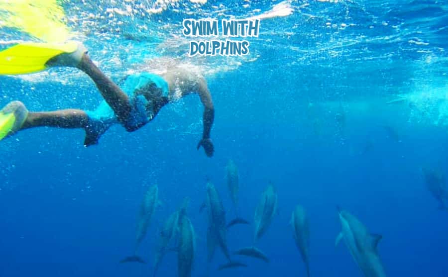 Mauritius: Benitier Island - Swim Dolphins - Speedboat & BBQ - Snorkeling around Crystal Rock and coral lagoons: what to expect
