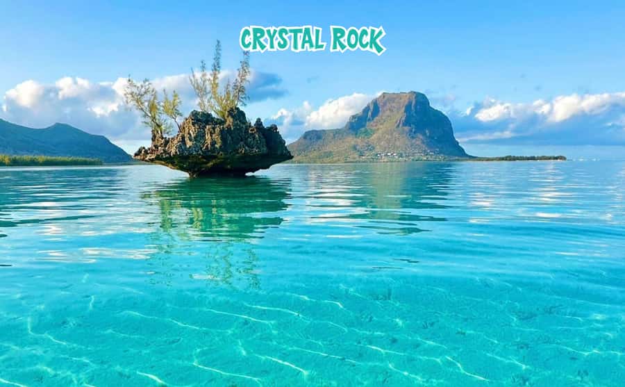 Mauritius: Benitier Island - Swim Dolphins - Speedboat & BBQ - Île aux Bénitiers: shallow-water relaxation plus BBQ on a coral island