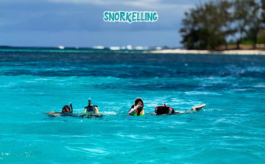 Mauritius: Benitier Island - Swim Dolphins - Speedboat & BBQ - Who should book this dolphin and Benitier Island tour