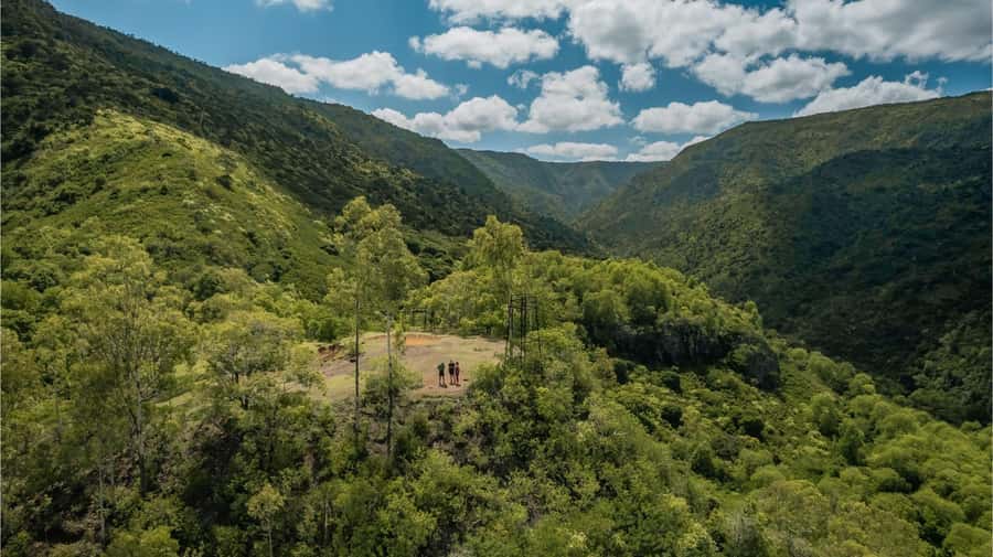 Mauritius: Black River Gorges National Park 3-Hour Hike - Walking Into Black River Gorges Primary Forest