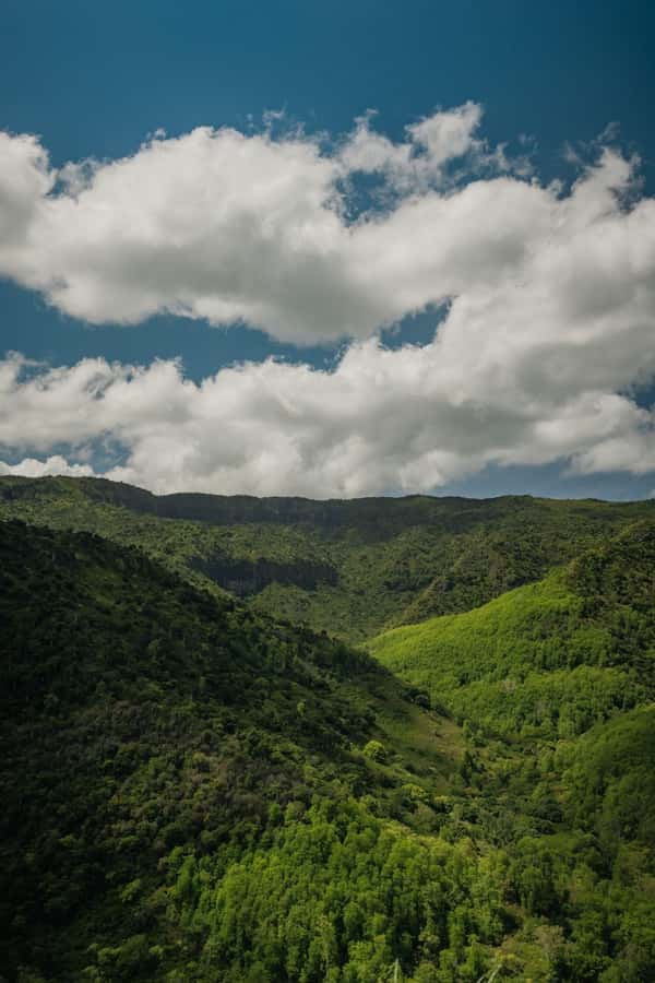 Mauritius: Black River Gorges National Park 3-Hour Hike - Starting at Riverview Commercial Centre, What the Group Setup Feels Like