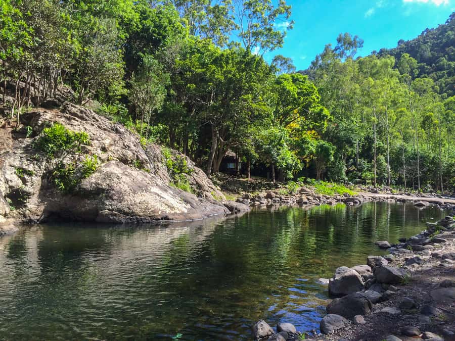 Mauritius: Black River Gorges National Park 3-Hour Hike - Viewpoints Over the Mountains and the Sea