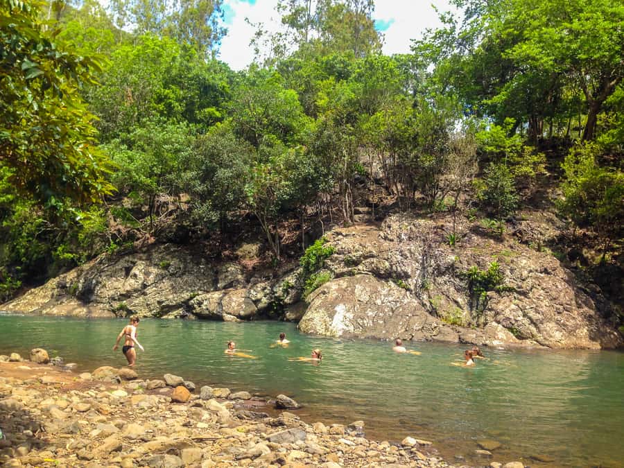 Mauritius: Black River Gorges National Park 3-Hour Hike - How the $64 Price Adds Up for a 3-Hour Guided Hike