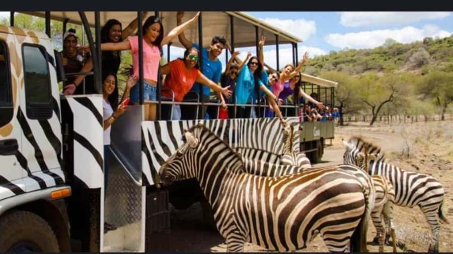 Mauritius: Casela nature parks & flic en flac beach - The Casela Nature Park block: what you do with about 6 hours