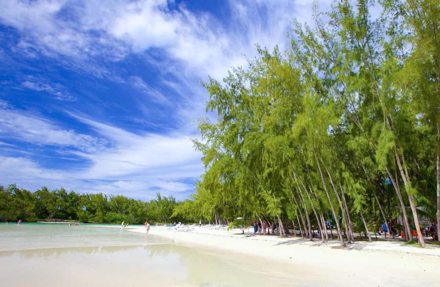 Mauritius: Catamaran Cruise to Ile Aux Cerfs with BBQ Lunch - Key Things I’d Bookmark Before You Go