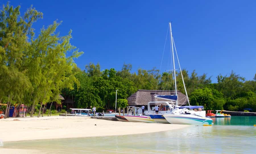 Mauritius: Catamaran Cruise to Ile Aux Cerfs with BBQ Lunch - Onboard Three-Course BBQ and Drinks: Where the Value Really Shows
