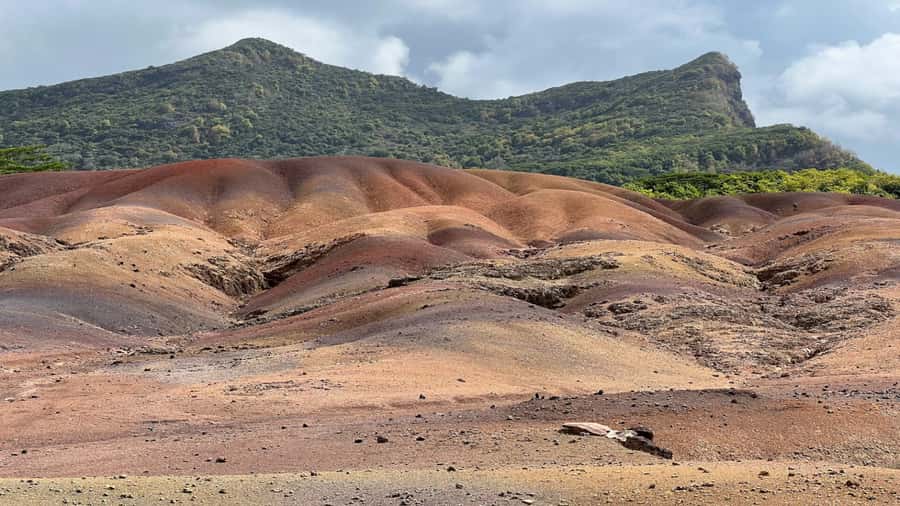 Mauritius: Chamarel 7 Colours & Waterfalls, South-West Tour - Rhumerie de Chamarel: unlimited rum tasting with context