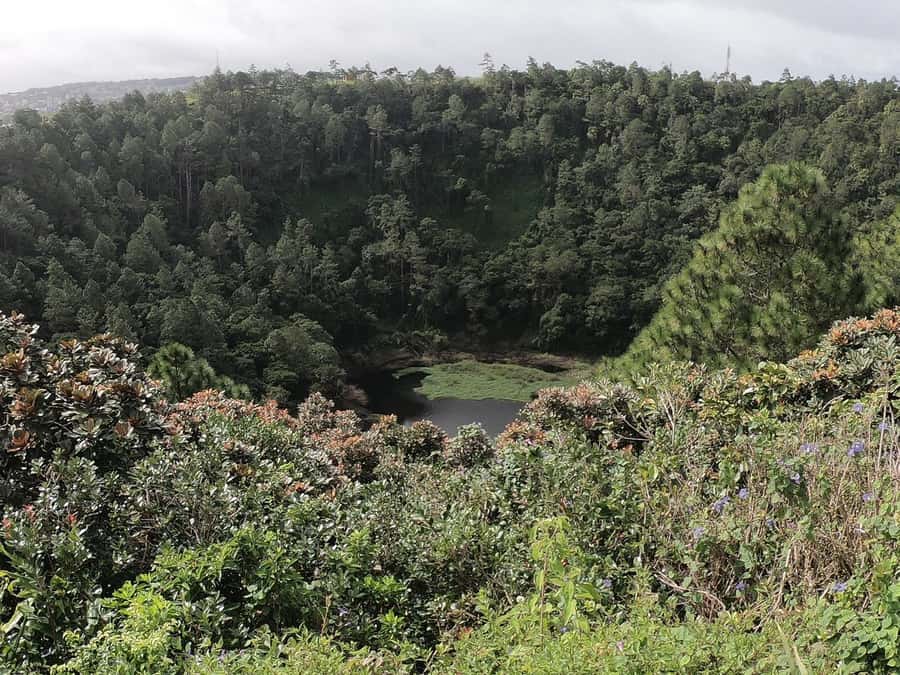 Mauritius: Dolphin Encounter, Trou aux Cerf and Grand Bassin - Grand Bassin Shiva temples and the 108-foot statue: sacred site, practical etiquette