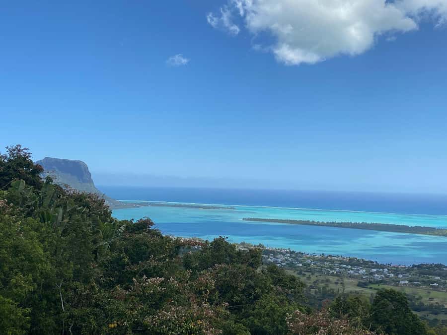 Mauritius: Dolphins watch half-day - Key highlights at a glance