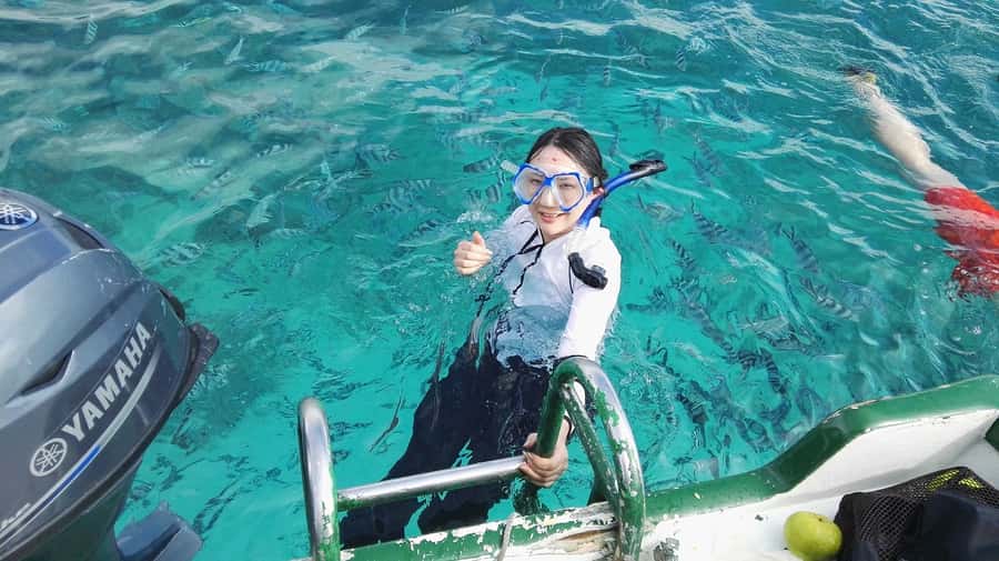 Mauritius: Dolphins watch half-day - Getting picked up at 6am or 7am, then onto a speedboat