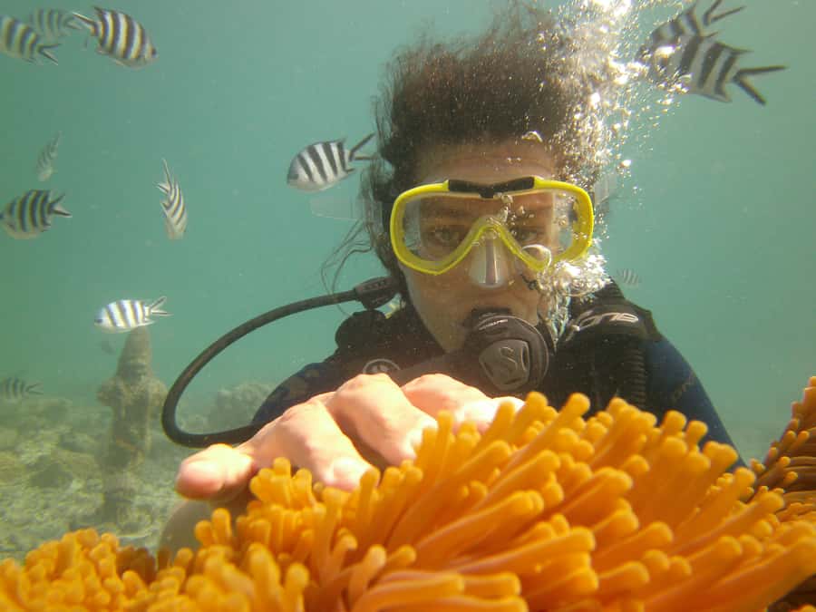 Mauritius: East Belle Mare Scuba Diving Tour - East Coast Belle Mare: why these underwater spots work for first-timers