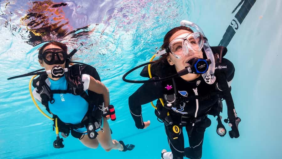 Mauritius: East Belle Mare Scuba Diving Tour - Shallow-water practice with a PADI professional: how confidence gets built