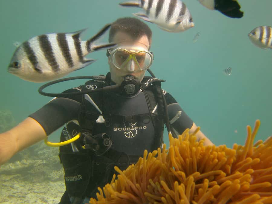Mauritius: East Belle Mare Scuba Diving Tour - Your supervised open-water outing: what you’ll actually see